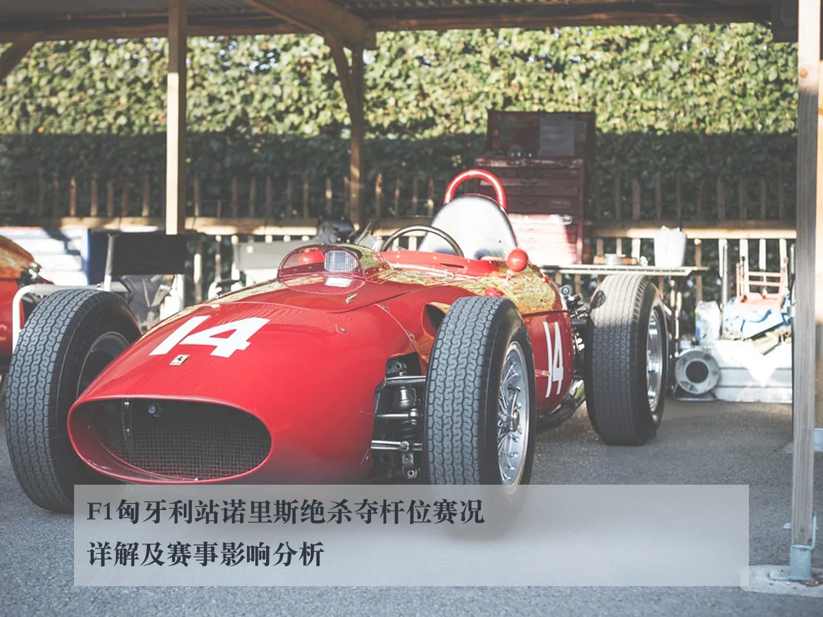 F1匈牙利站诺里斯绝杀夺杆位赛况详解及赛事影响分析